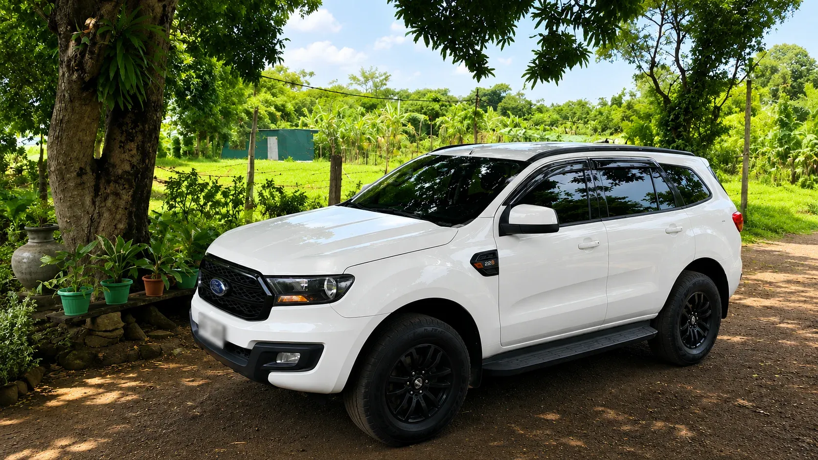 Outdoor shot of Ford Everest 2017 White Pearl.
